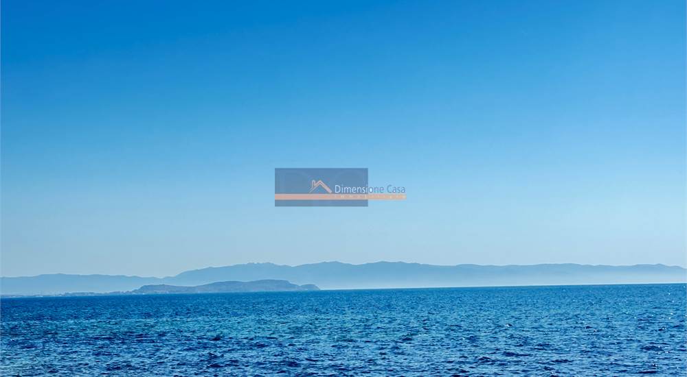 mare