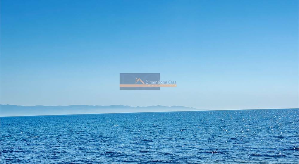 mare